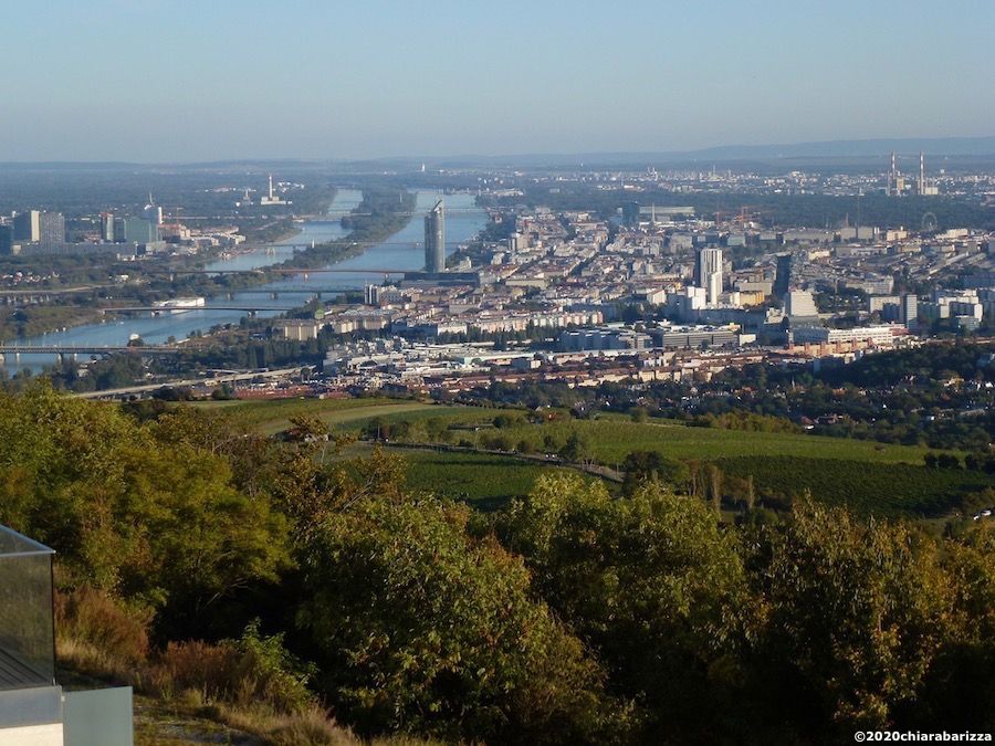 vista del danubio dalle colline dei vigneti del nussberg