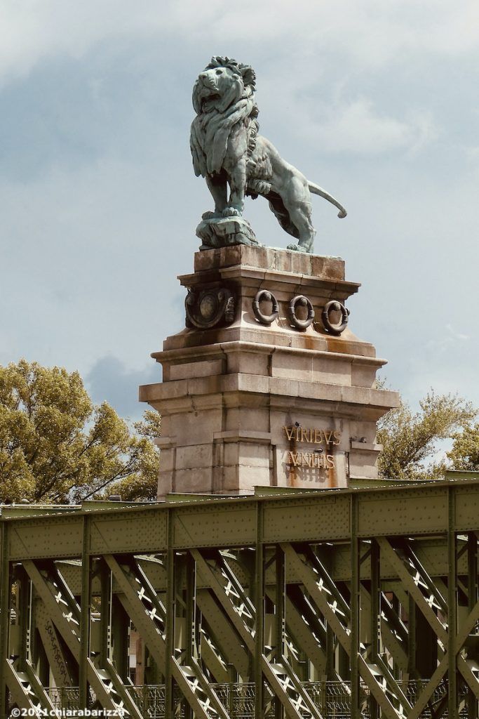 uno dei leoni a nussdorf